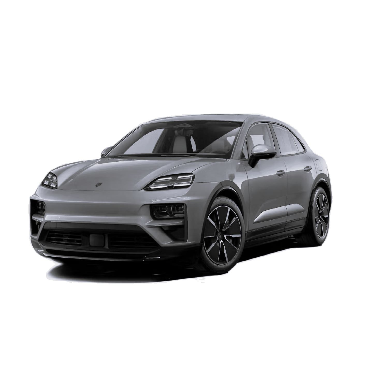 EV (2024-Současnost)